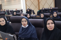کارگاه آموزشی «آشنایی با اختلالات روانپزشکی شایع در دانشجویان»