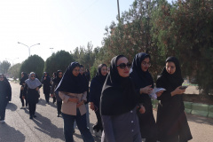 همایش پیاده‌روی دانشگاهیان در هفته تربیت بدنی
