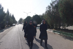 همایش پیاده‌روی دانشگاهیان در هفته تربیت بدنی