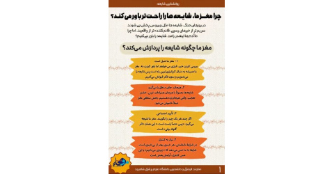 اینفوگرافیک/ مغز ما چگونه شایعه را پردازش می‌کند؟