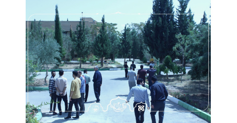 از ورود تا هم‌نشینی