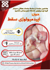 هشتمین جلسه سمینار- اپیدمیولوژی سقط جنین در ایران وجهان