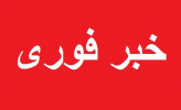 خبر فوری