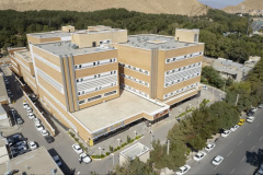 Bahar