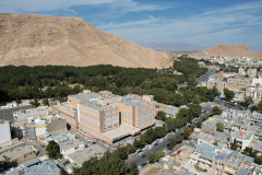 تصاویر