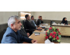امور پزشکی خانواده و نظام ارجاع