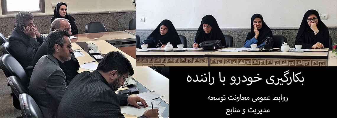 بکارگیری خودرو با راننده