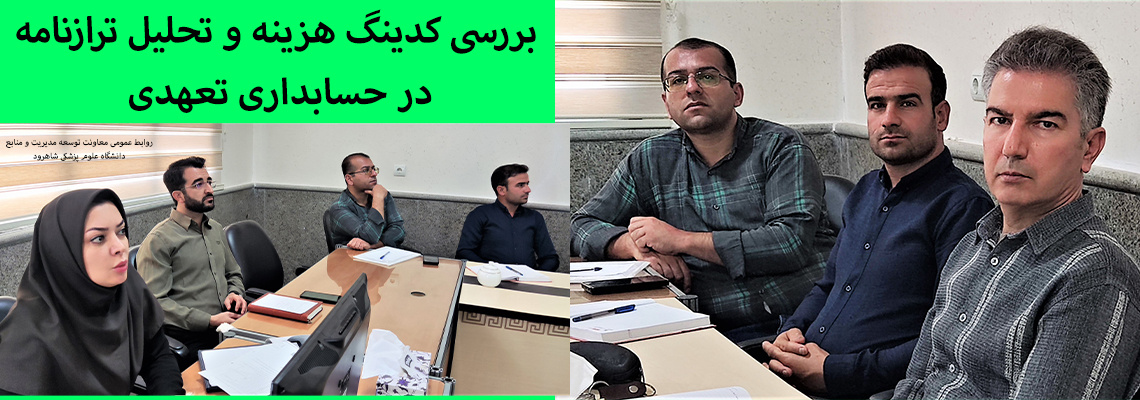 بررسی کدینگ هزینه و تحلیل ترازنامه در حسابداری تعهدی
