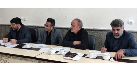 بکارگیری خودرو با راننده