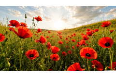 Where minds bloom and future flourish – Welcome to Shahroud University of Medical Sciences