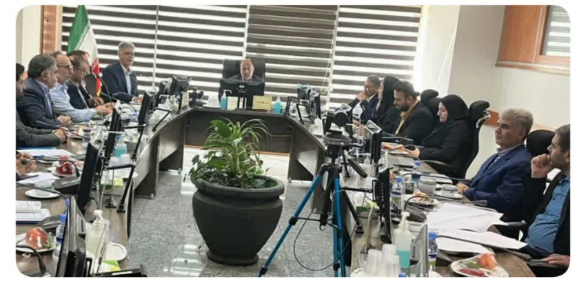 برگزاری جلسه هیات امنا دانشگاه علوم پزشکی شاهرود در وزارت بهداشت