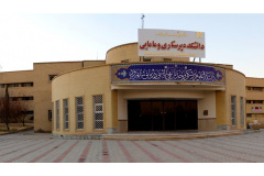 School of Nursing and Midwifery